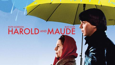 Harold and Maude