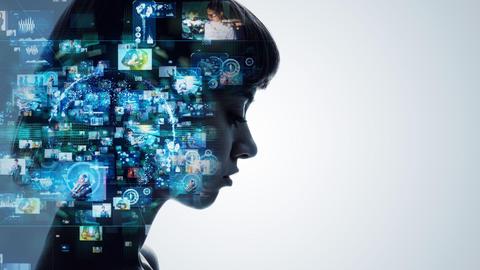 Misinformation and the Brain