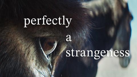 Perfectly a Strangeness