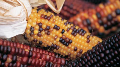 Dark City Movie PosterDark City