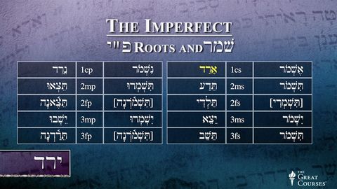 Everyday Hebrew (Book only): Tirkel, Eliezer: 9780844284880