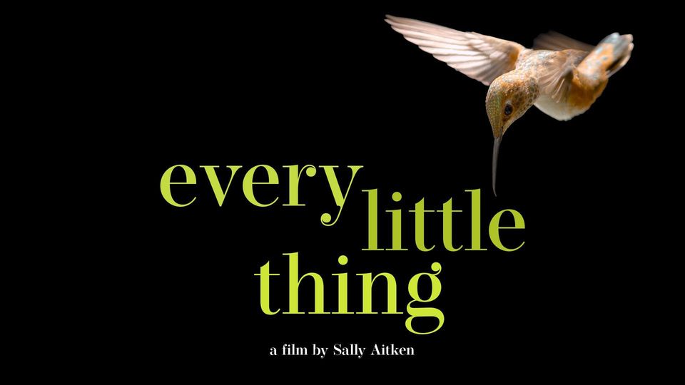 Every Little Thing | Kanopy