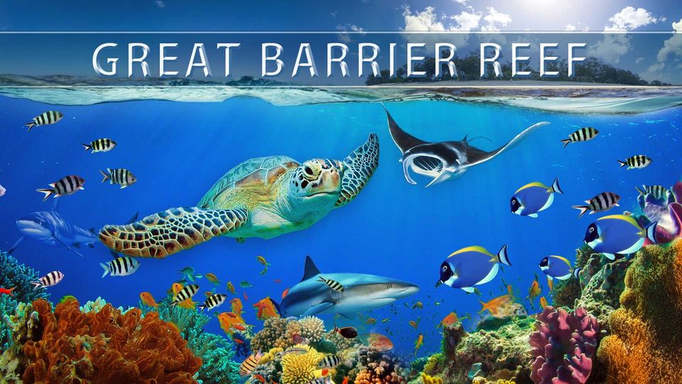 Peter Lik Great Barrier Reef Poster Art Photography Graphics