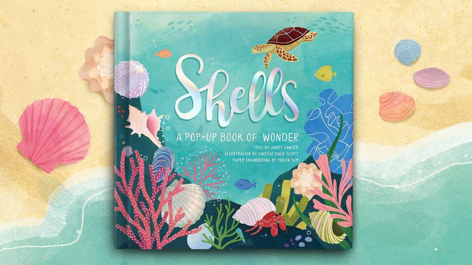 Dk Shells Book See what your library or university offers through Kanopy